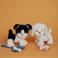 IMG_3040.jpeg