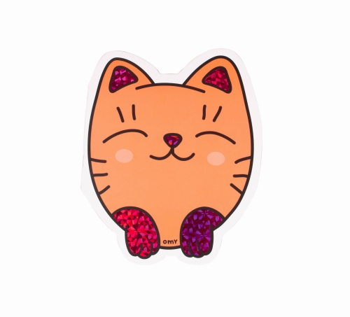 CAHIER DE FORME_CHAT_FACE.jpg