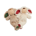 Olli Ella-Cozy-Dinkum-Bunny-Twiggy-Twinkle.png