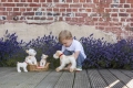 pol_pl_Przytulanka-Piesek-Eliot-maly-Egmont-Toys-R-2827_3.jpg
