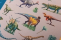 AC017_STICKERS_DINOS_HD_6.jpg
