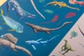 AC017_STICKERS_DINOS_HD_5.jpg