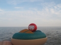 5667_Speed Boat_LF 2.JPG