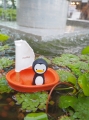 5711_Sailing Boat - Penguin_LF 11.JPG